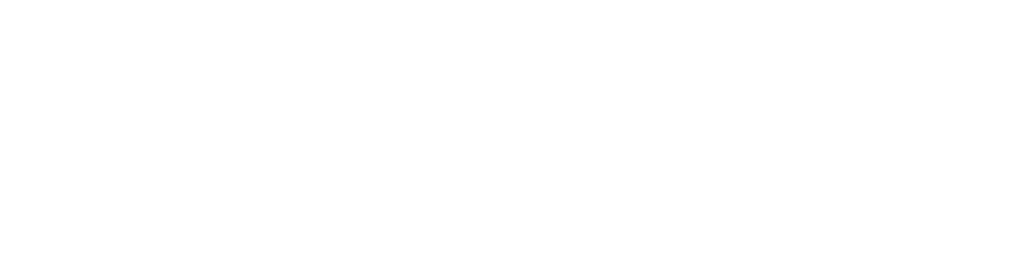 Norges Auto AS logo